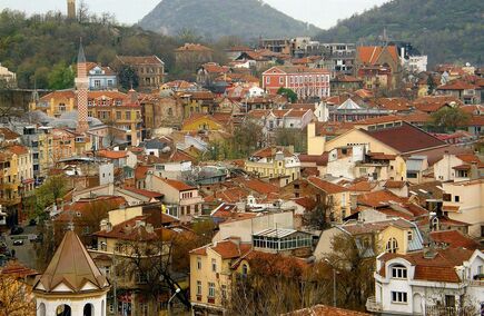 Отзиви за услуги в Пловдив